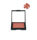 Compact Blusher Vitamin E B61